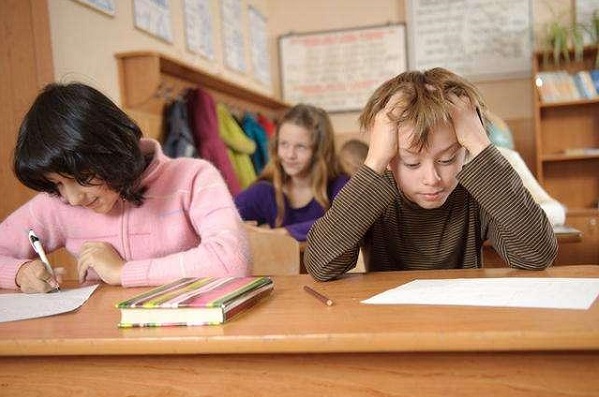 聊城莘县成人高考报名入口官网