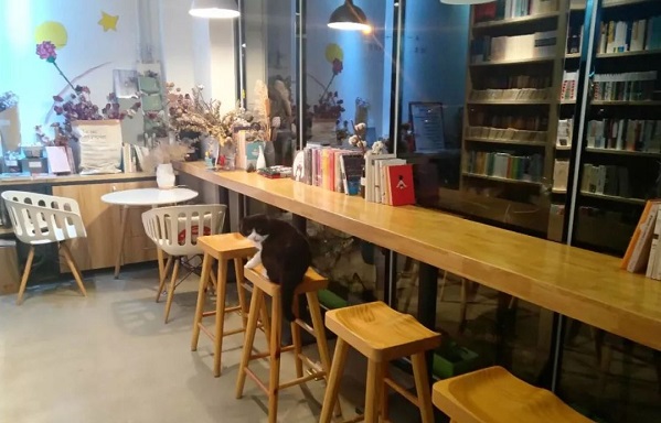 滨州市成人高考成绩查询