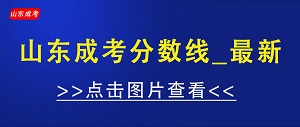 山东成考分数线