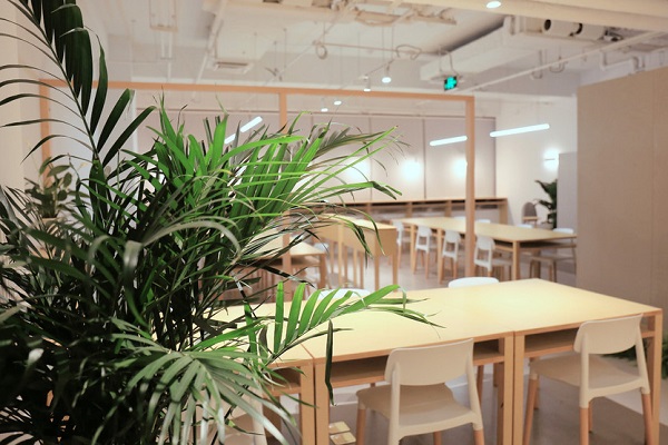 青岛市成人高考没过线怎么办