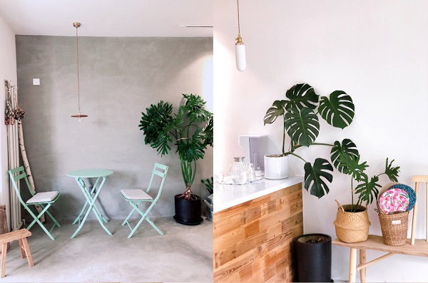 淄博市成人高考没过线怎么办