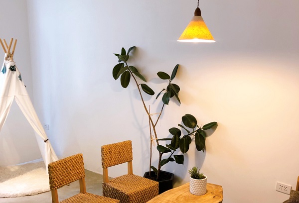 菏泽市成人高考加分政策