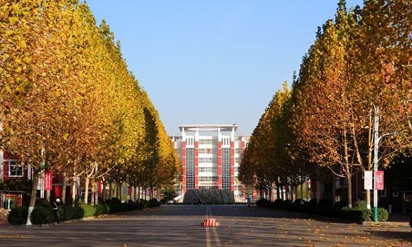 枣庄市成人高考本科报名