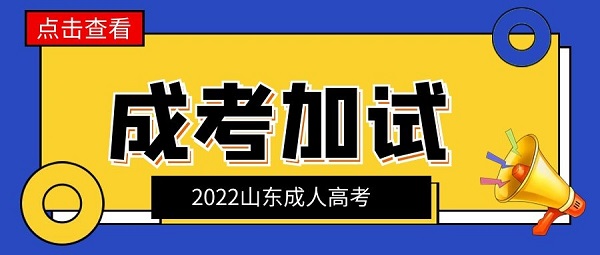 山东省成人高考加试