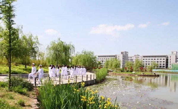 蒙阴县成人高考加分政策