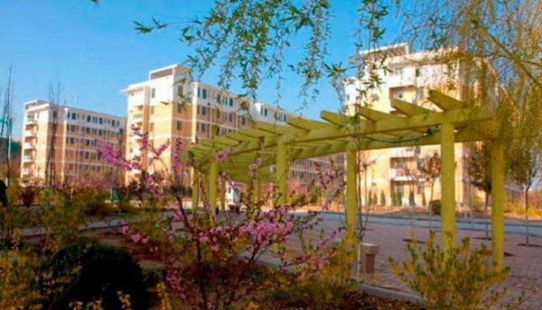 费县成人高考加分政策