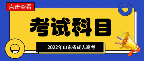 山东生成人高考考试科目