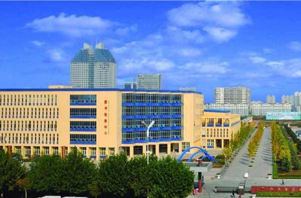 招远市成人高考加分政策