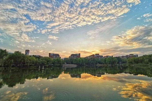 青州市成人高考加分政策