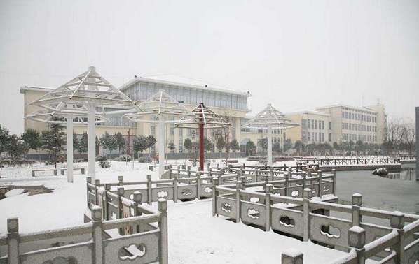 荣成市成人高考加分政策