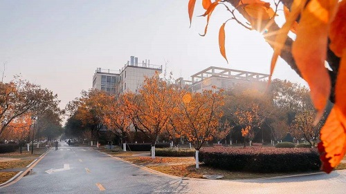 2022年济宁市成人高考报名地址在哪「报名时间、流程」