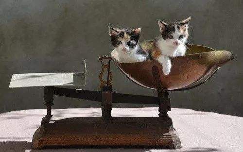 2022年日照市自学考试怎么报名(报名时间、入口)