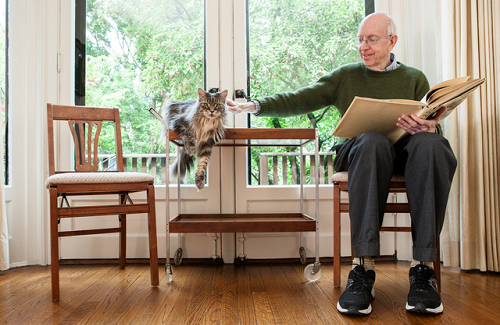 2022年临沂市自学考试怎么报名(报名时间、入口)