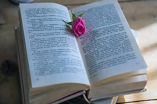 荣成市成人高考专升本流程