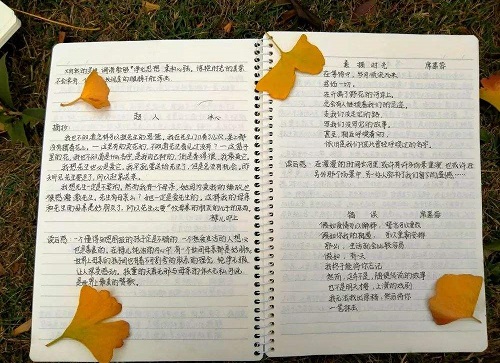 海阳市成人高考专升本流程