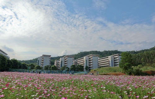 龙口市成人高考专升本流程