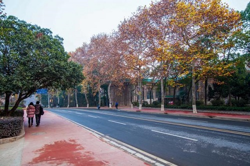 平阴县成人高考报名地址在哪「报名时间、流程」