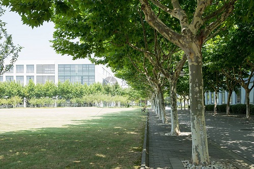 �����س��˸߿�������ַ���ġ�����ʱ�䡢���̡�