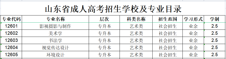 山东工艺美术学院成人高考招生专业设置