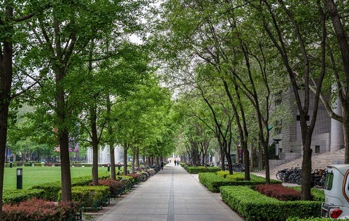 高青县成人高考报名地址在哪「报名时间、流程」