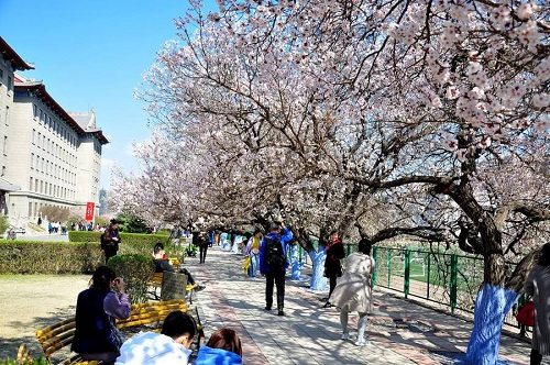 商河县成人高考报名地址在哪「报名时间、流程」