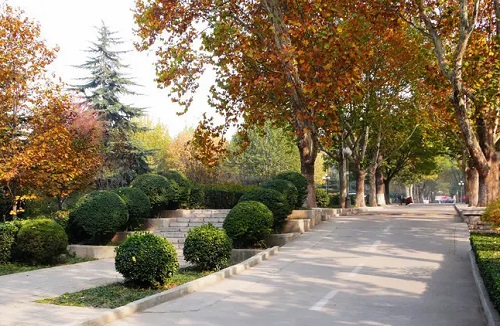 五莲县成人高考报名地址在哪「报名时间、流程」