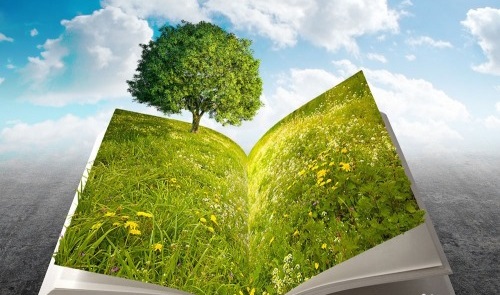 �����г��˸߿�������ַ���ġ�����ʱ�䡢���̡�