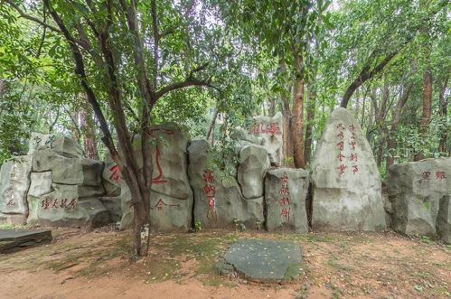 �����г��˸߿�������ַ���ġ�����ʱ�䡢���̡�