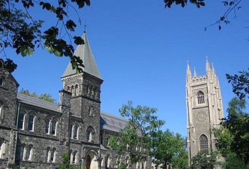 肥城市成人高考报名地址在哪「报名时间、流程」