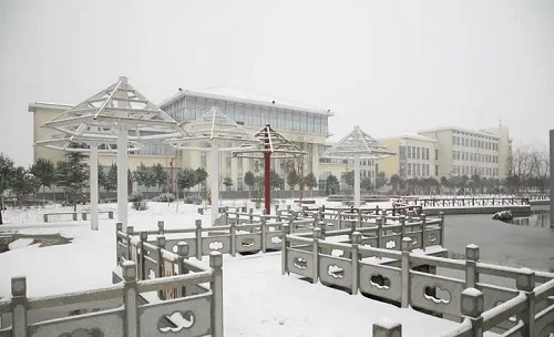 广饶县成人高考怎么进行复习备考