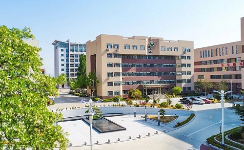 桓台县成人高考怎么进行复习备考