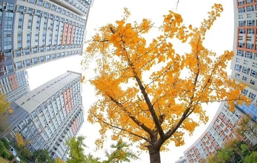 2022��Ϋ������ְҵѧԺ���˸߿�������������ʱ�䡢��ڣ�