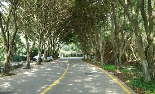 �����г��˸߿���ô���и�ϰ����