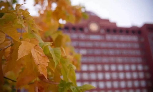 ��Զ�г��˸߿���ô���и�ϰ����