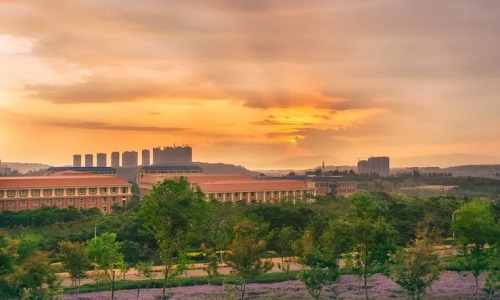 2022��ɽ������ְҵѧԺ���˸߿�������������ʱ�䡢��ڣ�