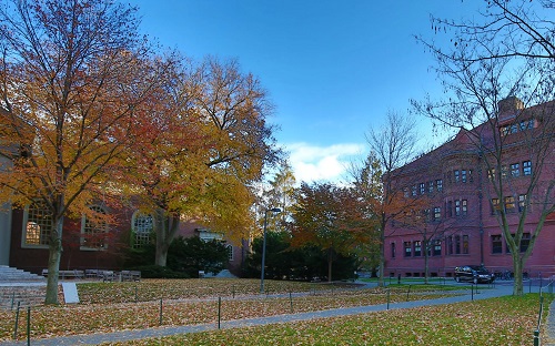 ���س��˸߿���ô���и�ϰ����