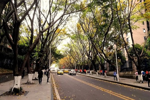 2022��Ϋ������ְҵѧԺ���˸߿�������������ʱ�䡢��ڣ�