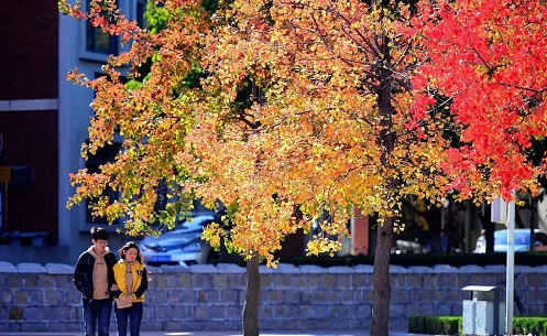 �����г��˸߿���ô���и�ϰ����