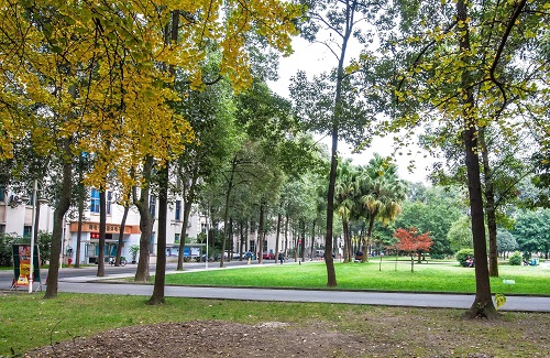 ƽ���س��˸߿���ô���и�ϰ����