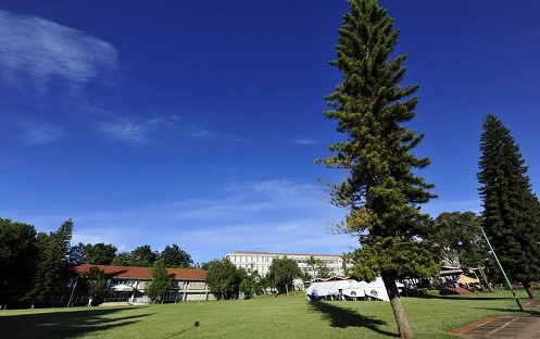 2022��Ϋ������ְҵѧԺ���˸߿�������������ʱ�䡢��ڣ�