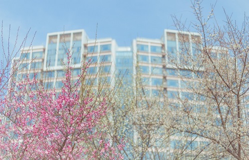 2022����ְ̨ҵѧԺ���˸߿�������������ʱ�䡢��ڣ�