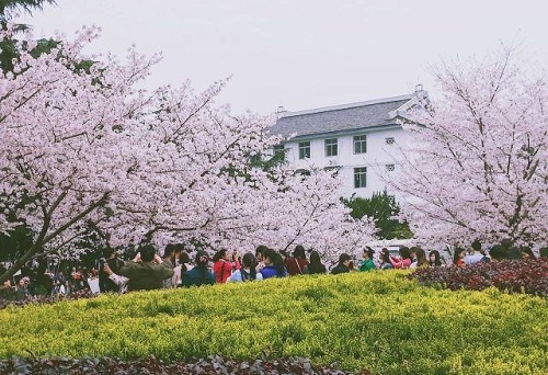 2022��Ϋ������ְҵѧԺ���˸߿�������������ʱ�䡢��ڣ�