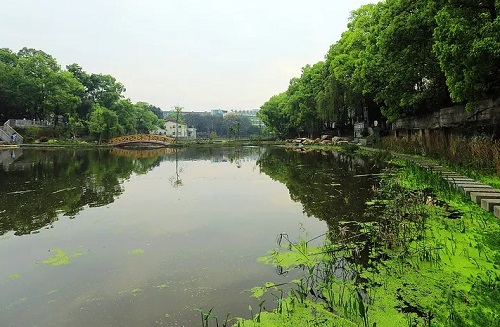 ��ɽ�г��˸߿���ô���и�ϰ����