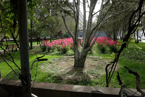 2022年威海海洋职业学院成人高考报名条件(含时间、入口)