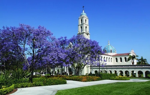 2022��ɽ����ҵְҵѧԺ���˸߿�������������ʱ�䡢��ڣ�