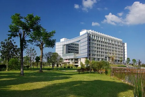 �����г��˸߿���ô���и�ϰ����