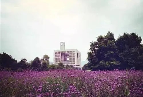 �޳��г��˸߿���ô���и�ϰ����