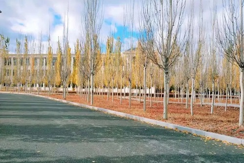 �����г��˸߿���ô���и�ϰ����