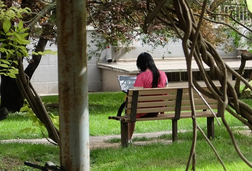 2022��ɽ������ѧԺ���˸߿�������������ʱ�䡢��ڣ�