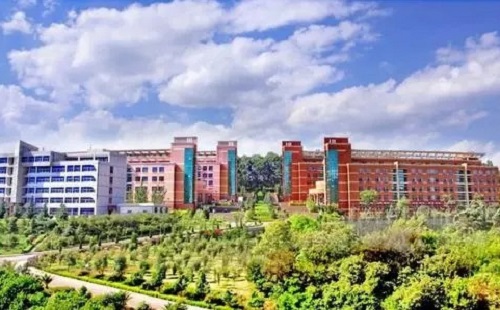 2022��Ϋ���г���ר�������ı�����������ʱ�䡢��ڣ�